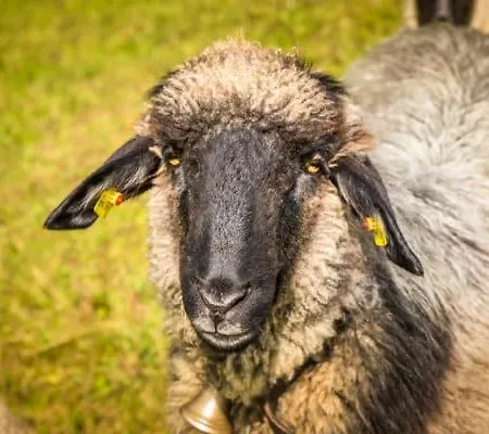 Unterwoehrlehen *