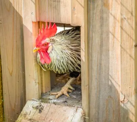 Апартаменты Unterwoehrlehen *