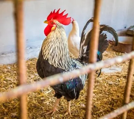 Unterwoehrlehen *