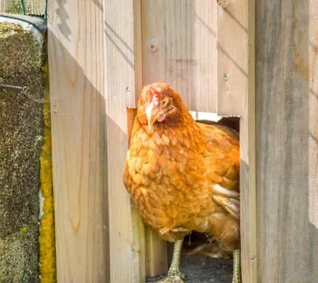 Unterwoehrlehen 公寓