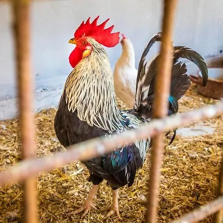 Unterwoehrlehen 公寓 芬斯特诺