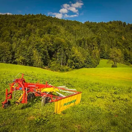 Unterwoehrlehen * Faistenau