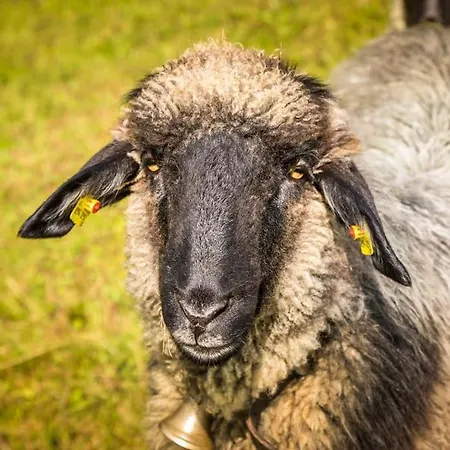 Unterwoehrlehen ファイステナウ